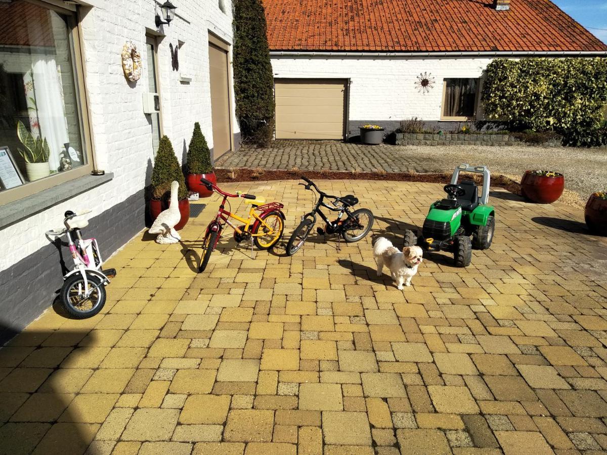 جابيكي B&B Het Polderhof المظهر الخارجي الصورة