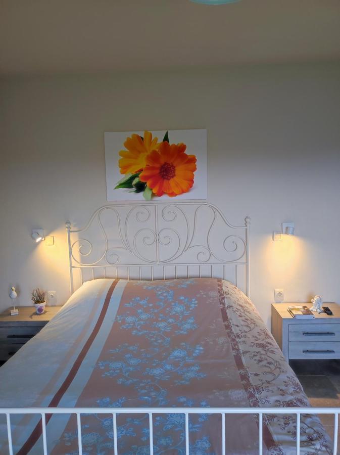 جابيكي B&B Het Polderhof المظهر الخارجي الصورة
