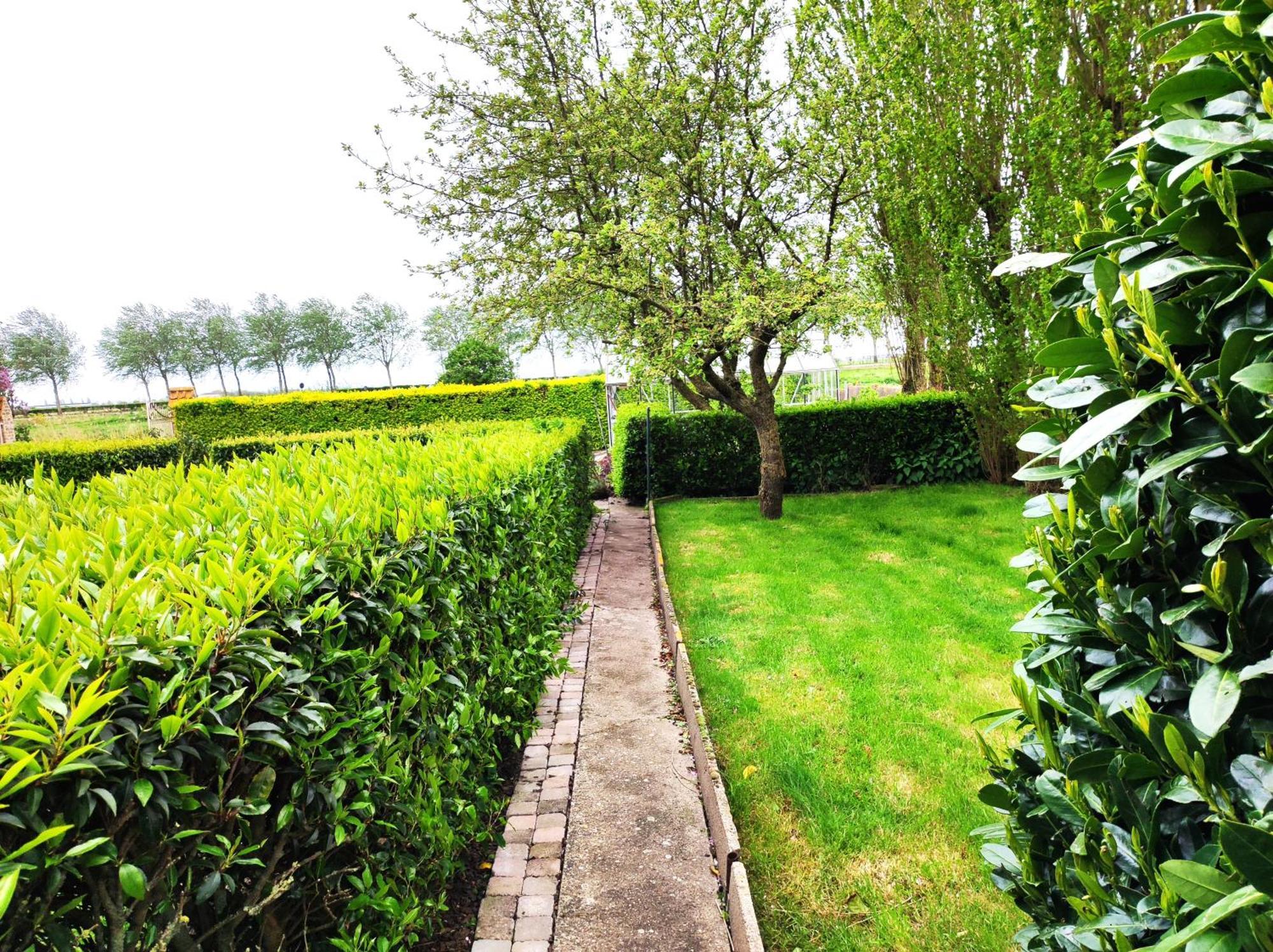 جابيكي B&B Het Polderhof المظهر الخارجي الصورة