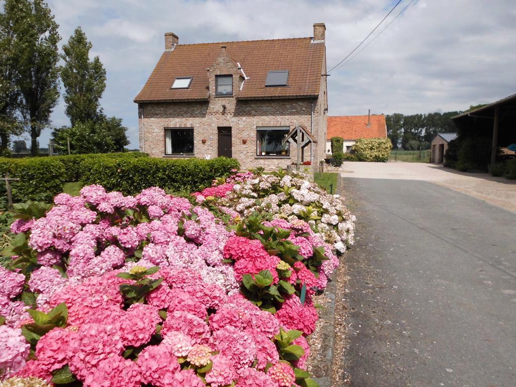 جابيكي B&B Het Polderhof المظهر الخارجي الصورة